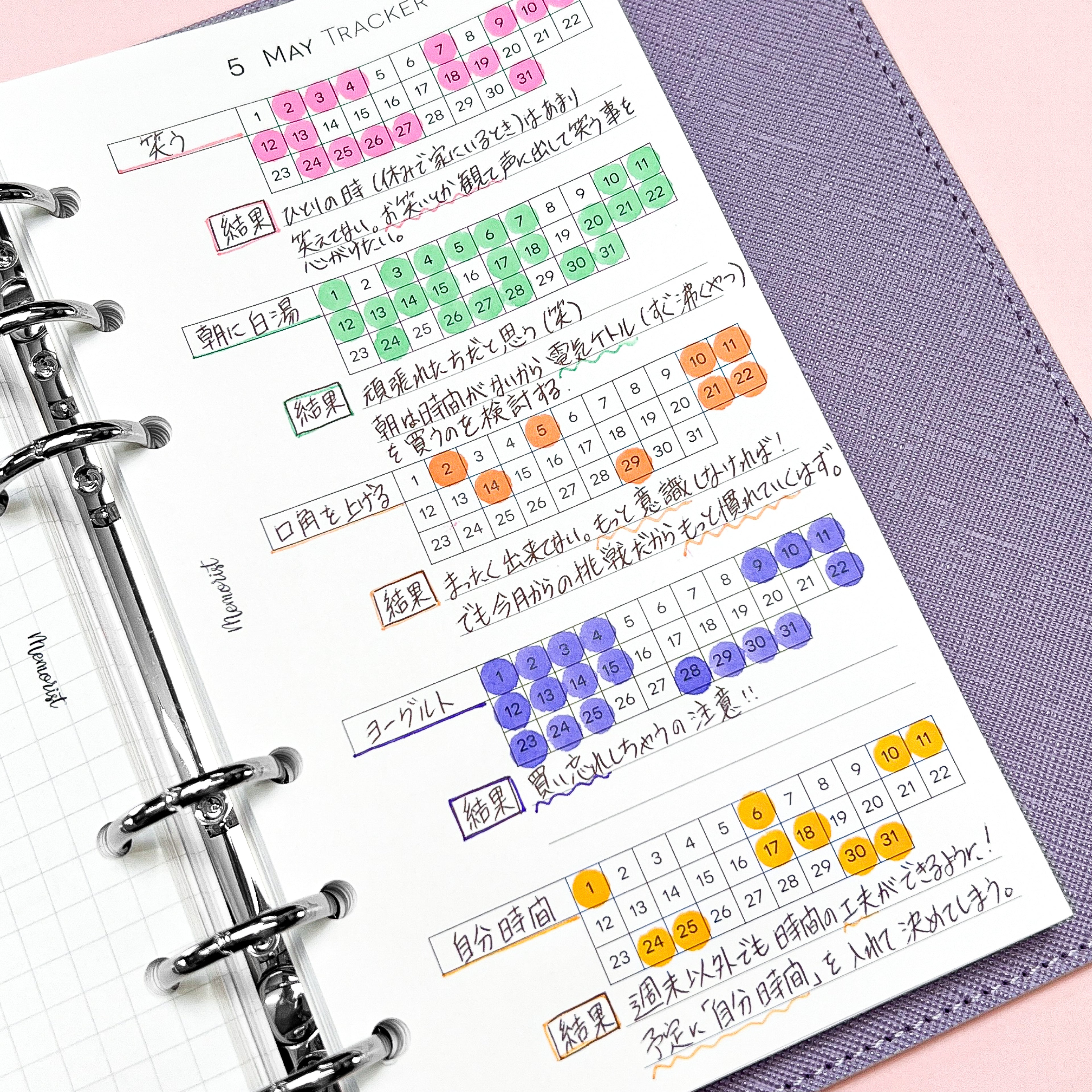 Habit Tracker BASIC (Personal Size)