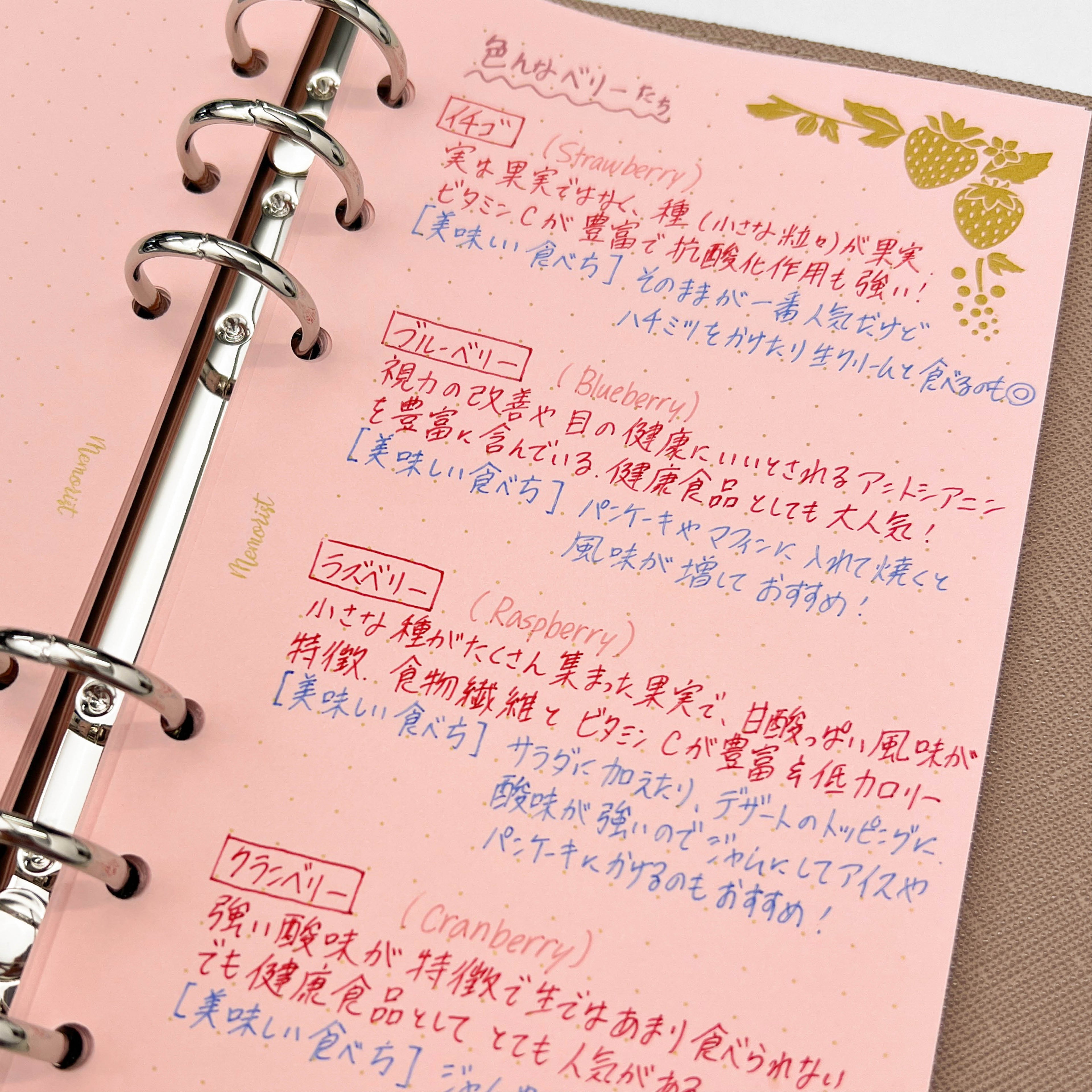 Berry Berry: Color Paper Grid (Personal Size)
