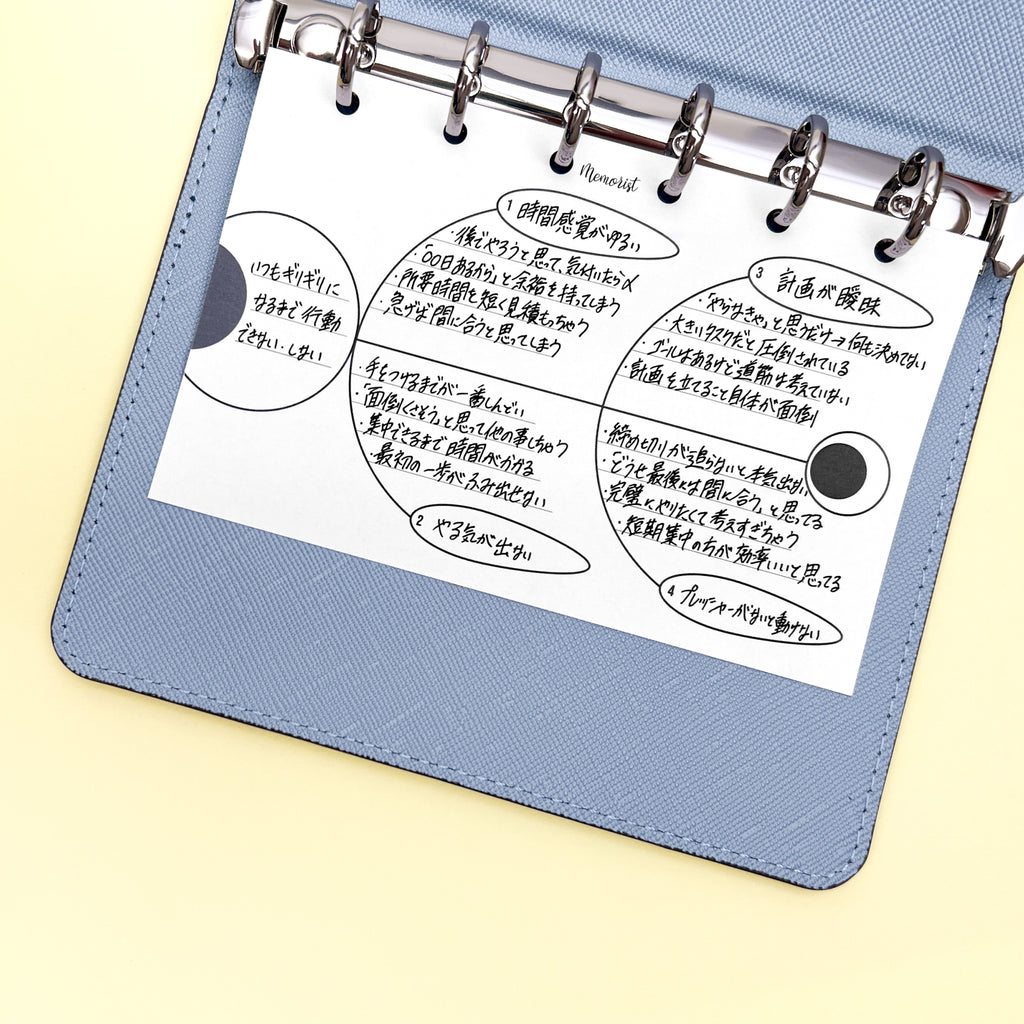 Fishbone Diagram (Pocket Size)