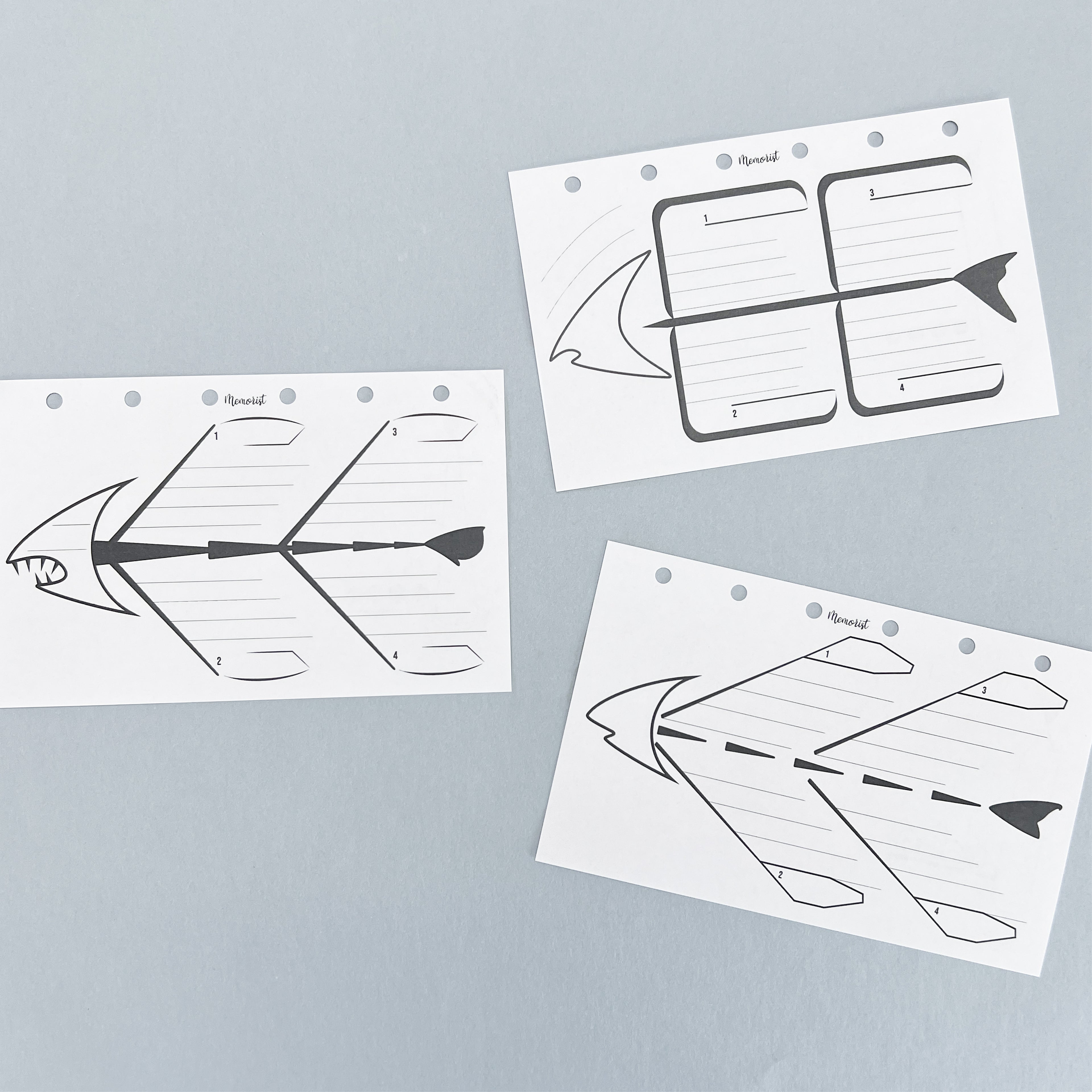 Fishbone Diagram (Pocket Size)