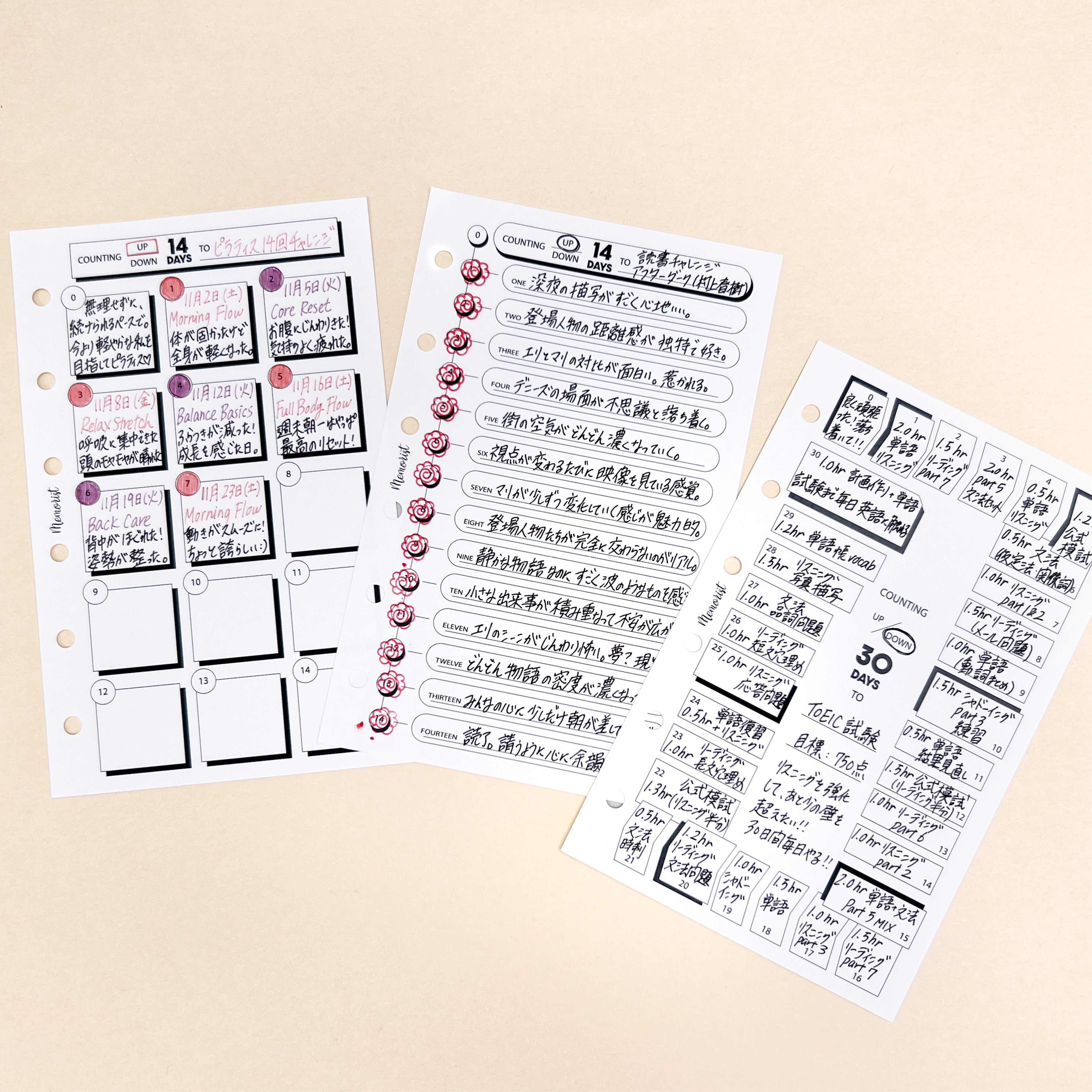 Counting Up/Down (Pocket Size)