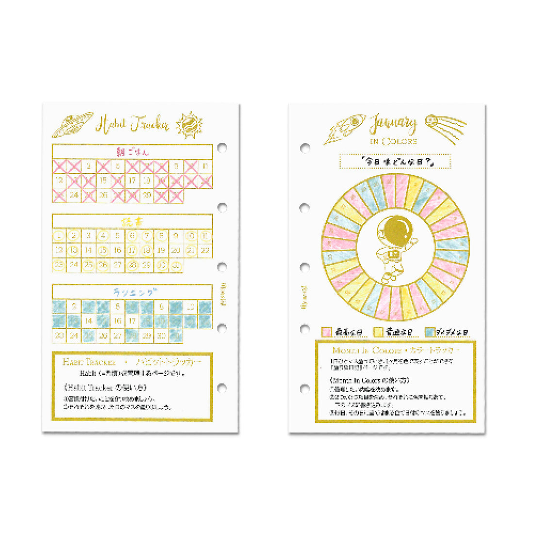 All-in-1 Monthly (M5 Size Refill)